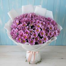 Букет цветов из:  Хризантемы #REPLACE_PRED# Емве