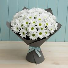 Букет белые хризантемы в Емве Букет цветов из: Хризантемы в Емве