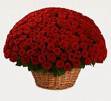 Премиум букет из: Розы в Емве